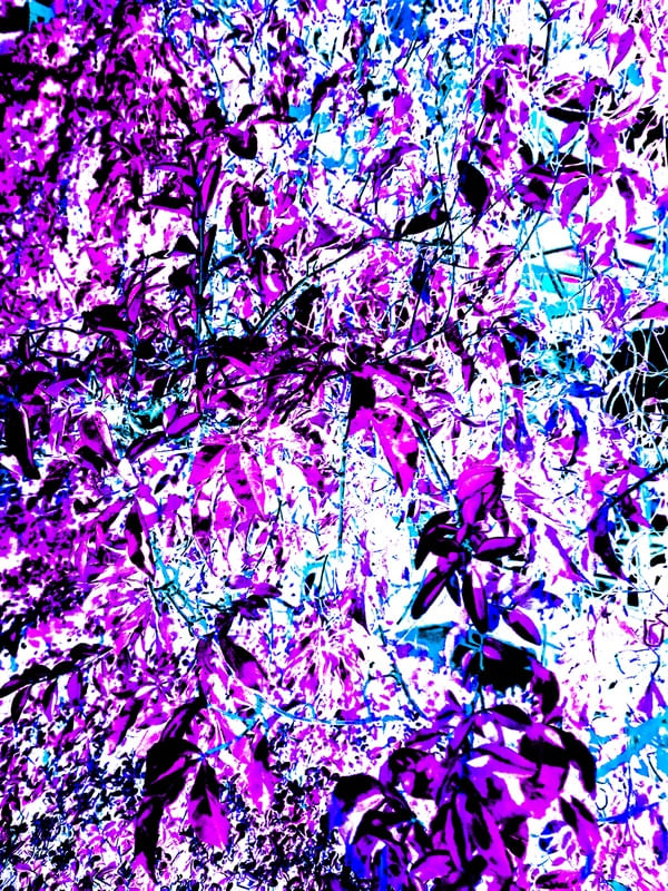 ABM00037
