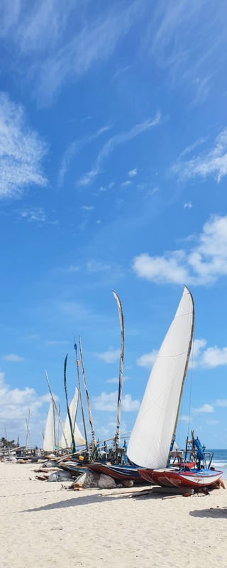 JANGADAS PRAINHA
