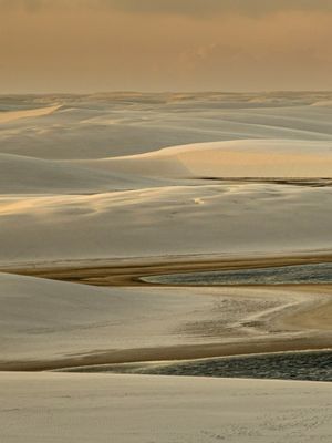 GOLDEN VIEW DUNAS POLIPTICO 1