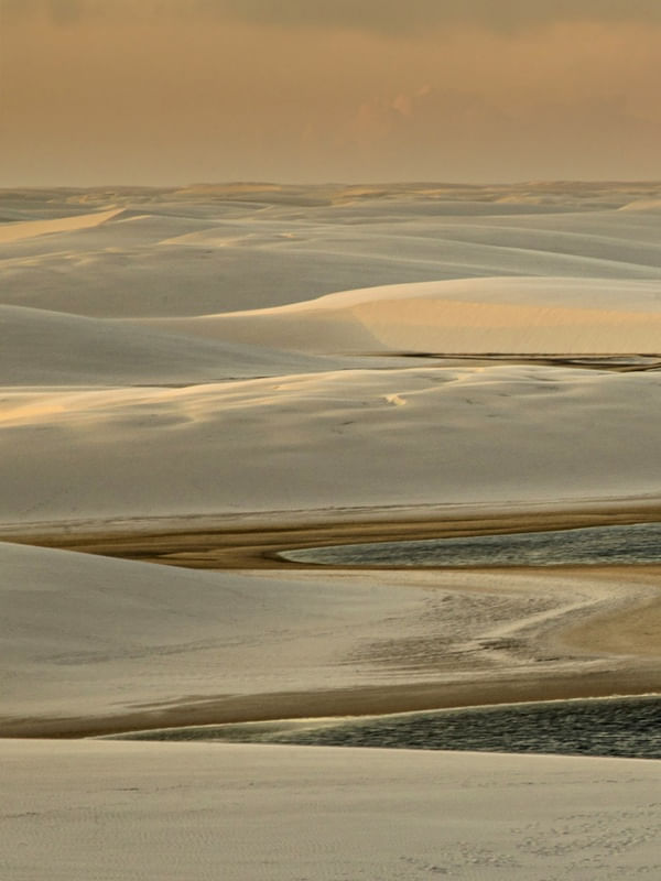 GOLDEN VIEW DUNAS POLIPTICO 1