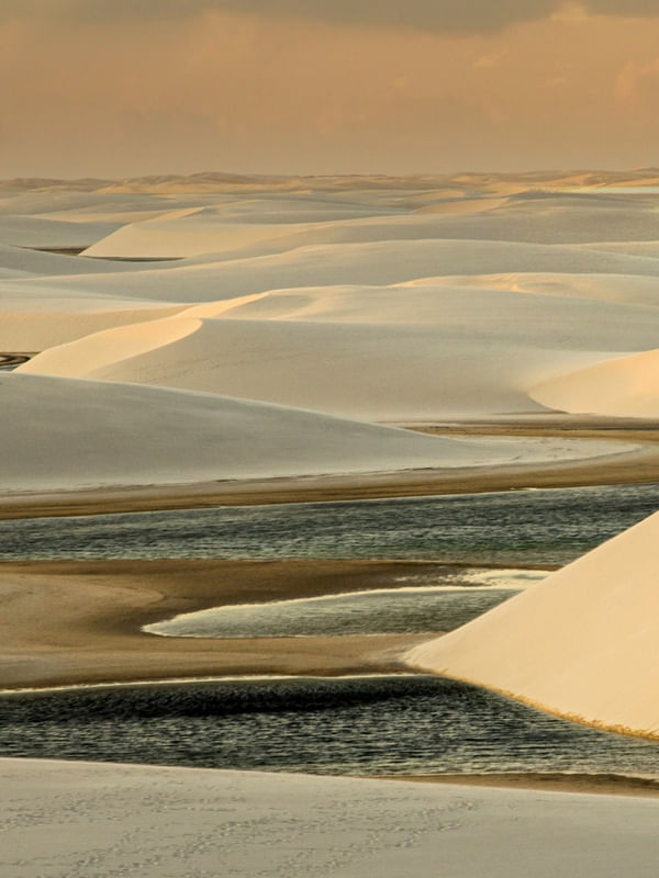 GOLDEN VIEW DUNAS POLIPTICO 2