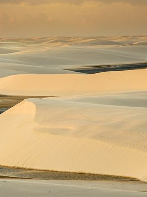 GOLDEN VIEW DUNAS POLIPTICO 3