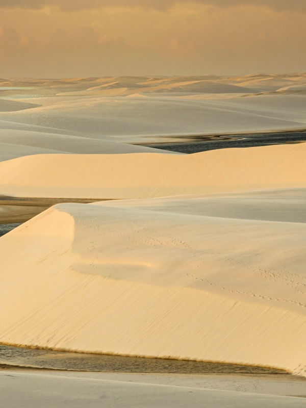 GOLDEN VIEW DUNAS POLIPTICO 3