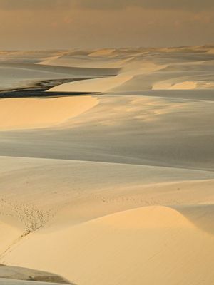GOLDEN VIEW DUNAS POLIPTICO 4