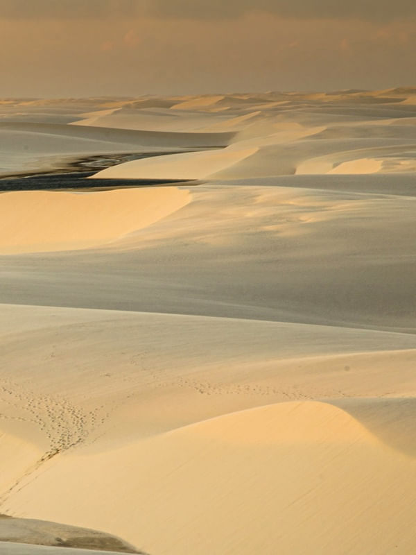 GOLDEN VIEW DUNAS POLIPTICO 4
