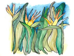 STRELIZIAS