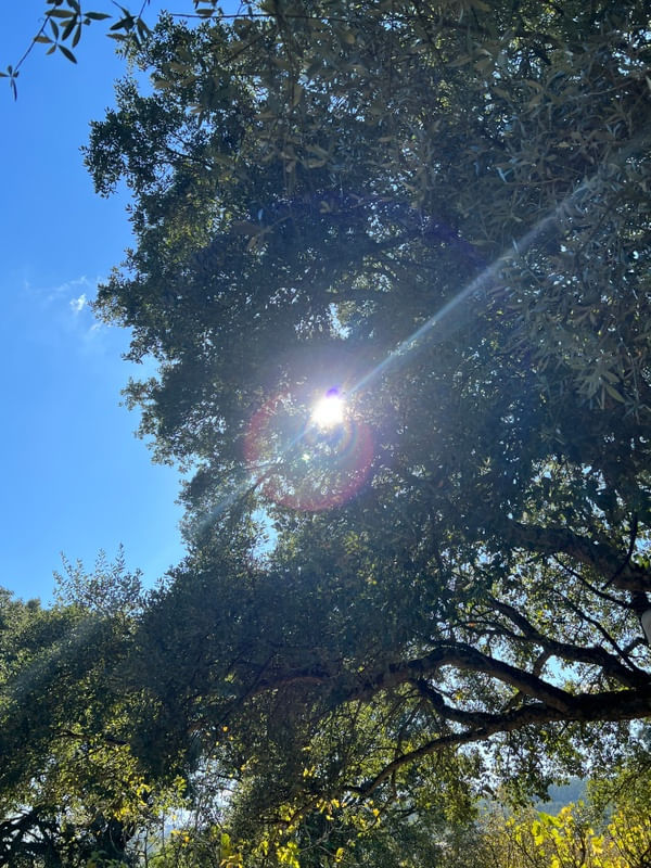 NATUREZAA