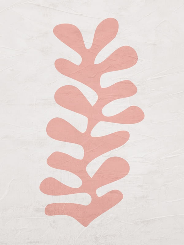 SERIÉ HENRI MATISSE - 10A