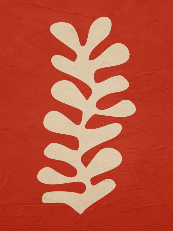 SERIÉ HENRI MATISSE - 10B