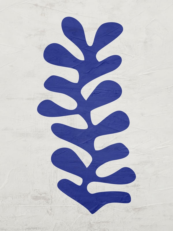 SERIÉ HENRI MATISSE - 10C