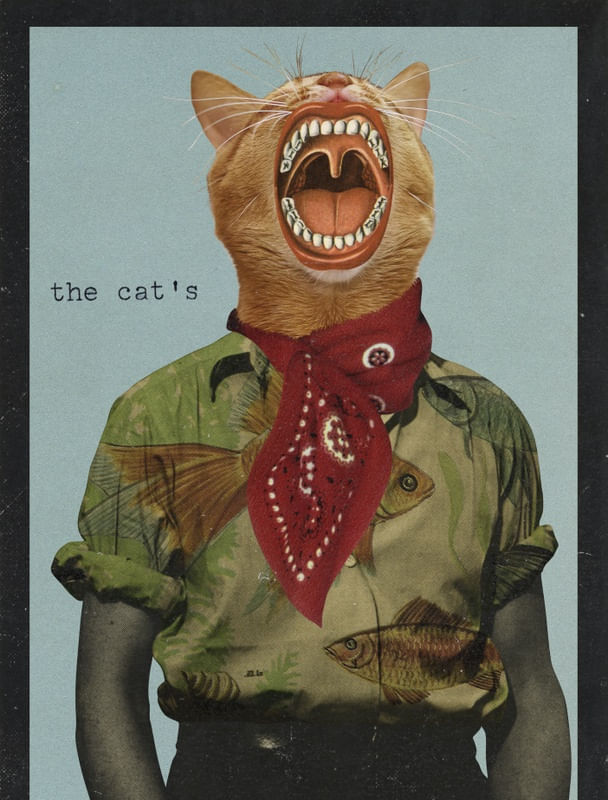 O BOCEJO DO GATO