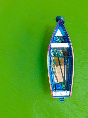 PEQUENO BARCO DE PESCADOR EM UM MAR VERDE