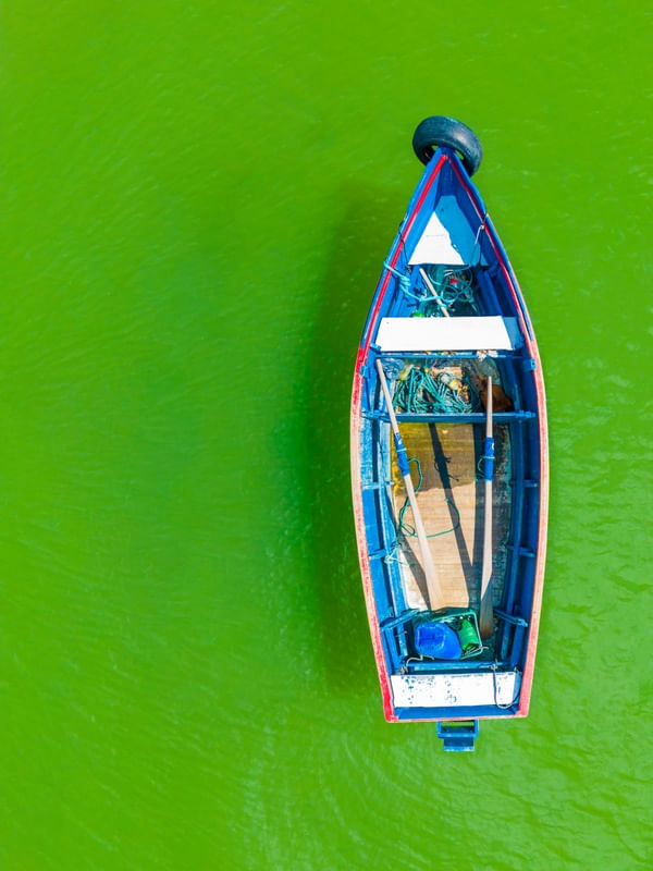PEQUENO BARCO DE PESCADOR EM UM MAR VERDE