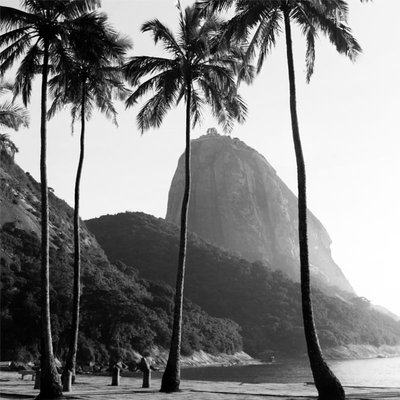 RIO DO RIO