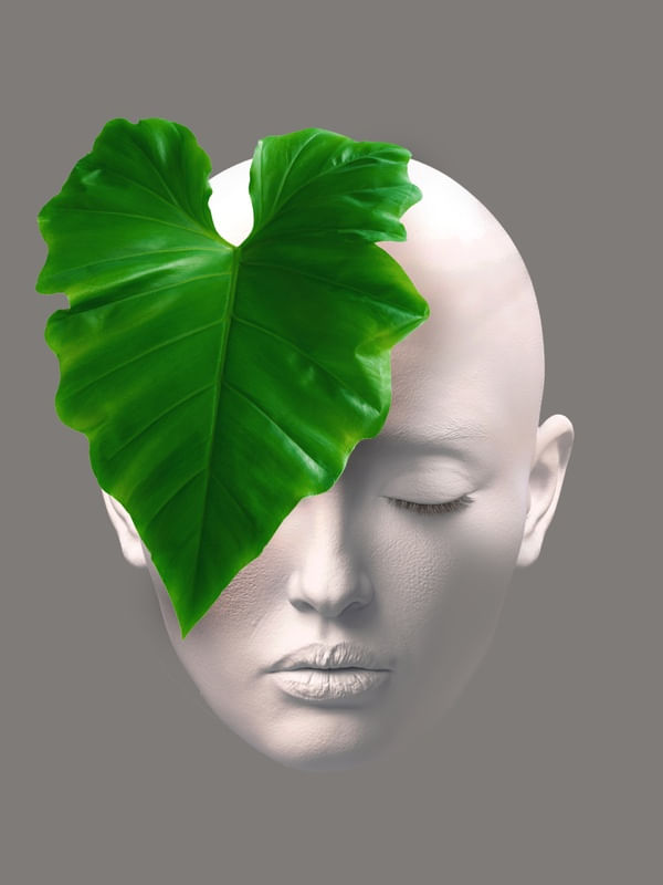 FACE OF NATURE DS 03