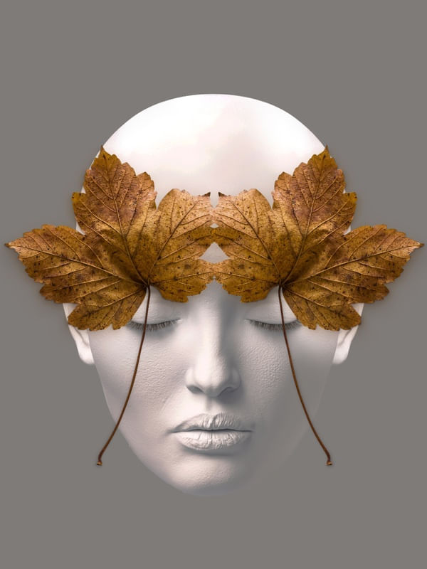 FACE OF NATURE DS 05
