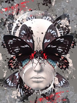 TEXTURA BUTTERFLY DS 02
