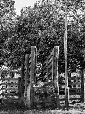 RANCHO EM AURORA DO TO