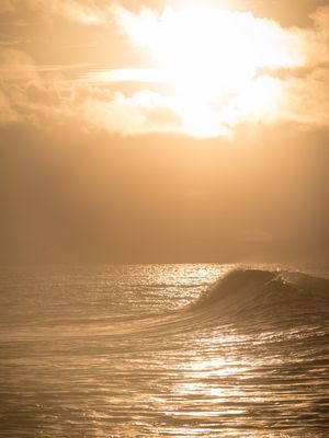 ONDA DOURADA 1