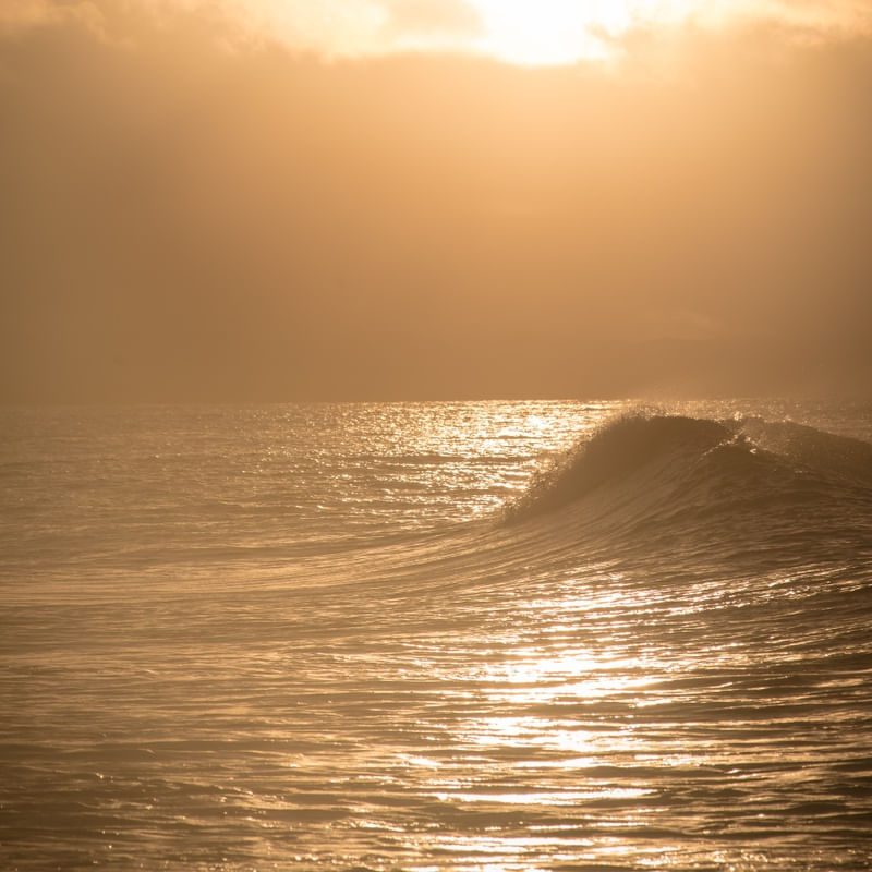 ONDA DOURADA 2