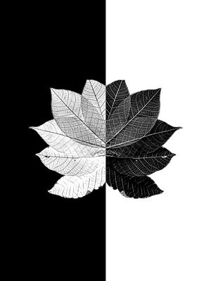 BOTANIC PB 1