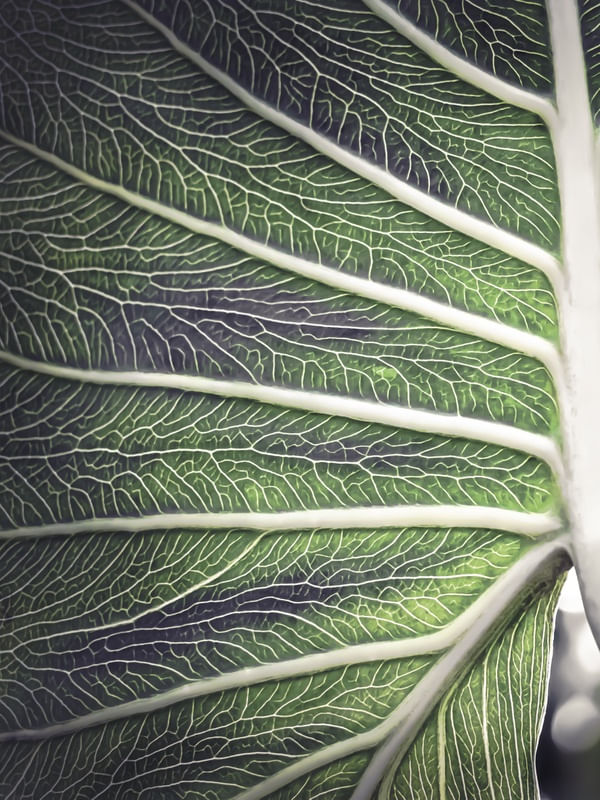 VEIAS E ESPINHA DORSAL - DÍPTICO A