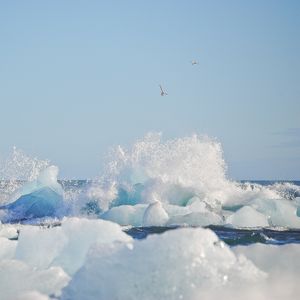 CONGELADOS