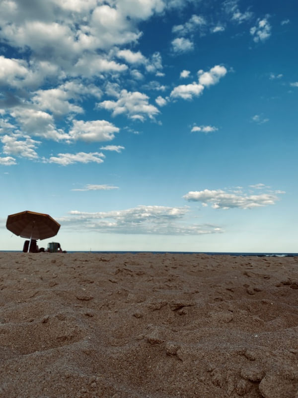 LONELY PARADISE