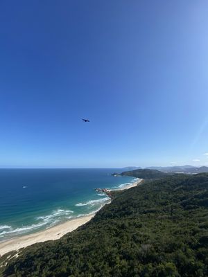 PÁSSAROS NA JANELA