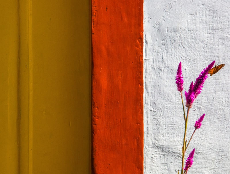 CORES DE PARATY