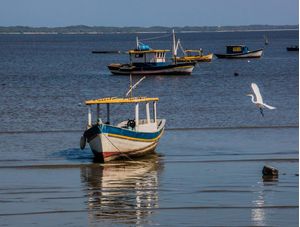 O BARCO E A GARÇA