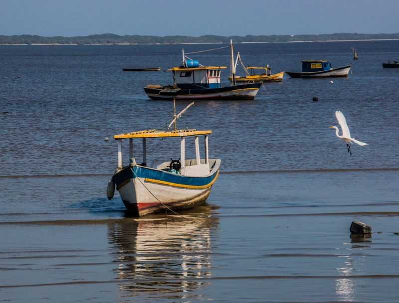 O BARCO E A GARÇA