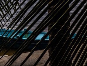 FOLHAS E BARCO AZUL