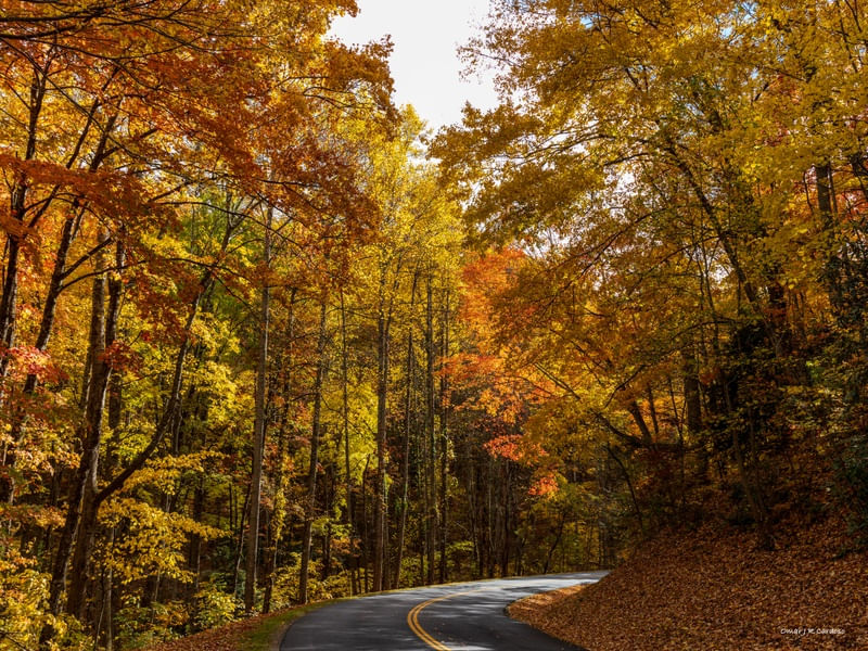 FIGHTING CREEK GAP ROAD GATLINBURG TN USA