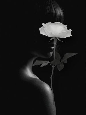 ROSAS EM BRACO