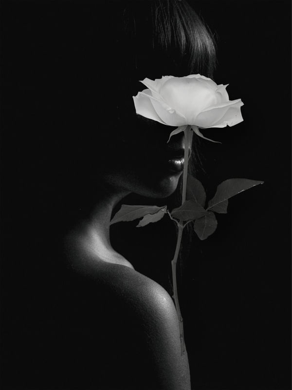 ROSAS EM BRACO