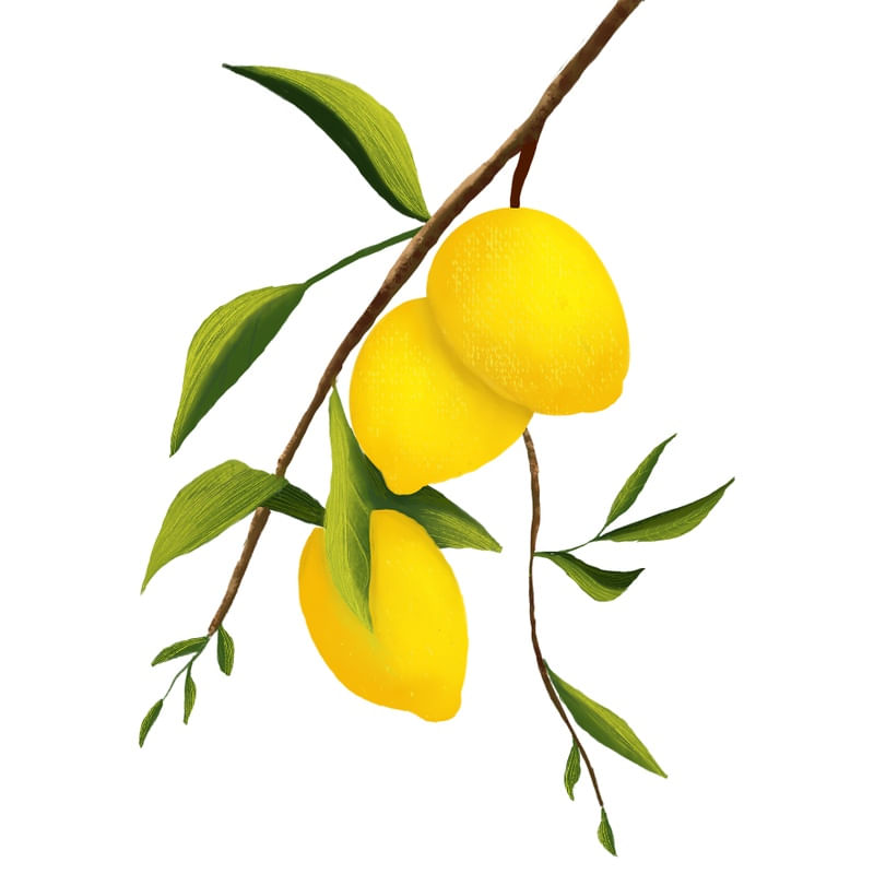 LEMONS X