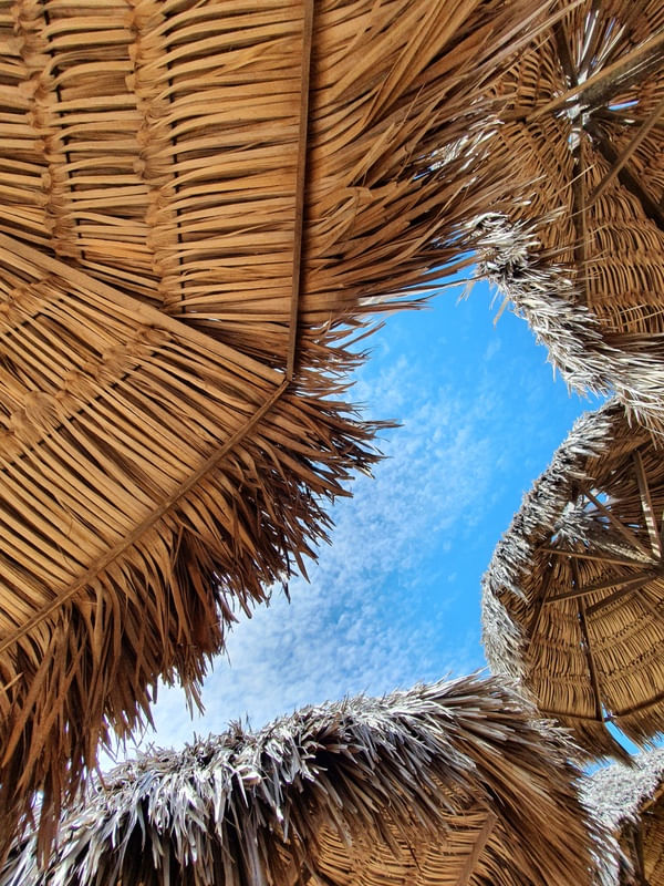 BARRACAS DE PRAIA BARRA CEARÁ