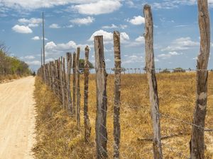 CERCAS SERTÃO ALAGOAS PAISAGEM