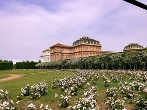 VENARIA REALE II 25 UA