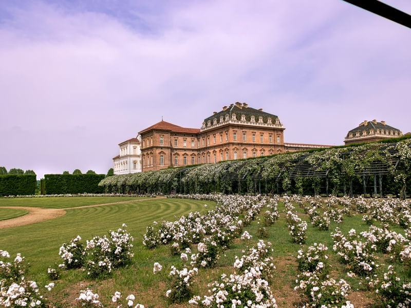 VENARIA REALE II 25 UA
