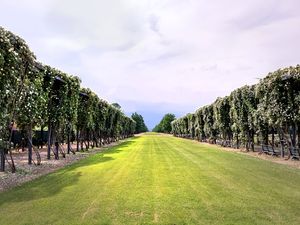 VENARIA REALE II 28 UA