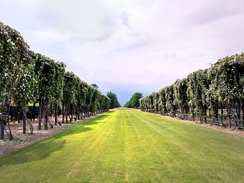 VENARIA REALE II 28 UA