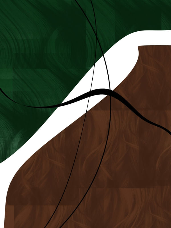ARTE CONTORNOS MINIMALISTAS SÉRIE CORES VERDE E MARROM OP 02