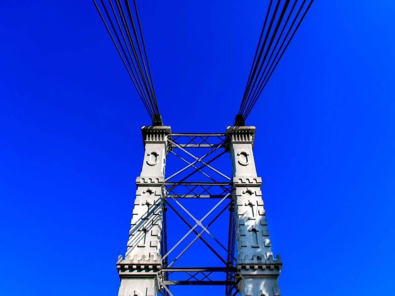 PERSPECTIVAS 51UA