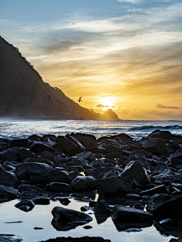 PÁSSAROS VOANDO AO PÔR DO SOL DE FERNANDO DE NORONHA