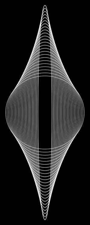 ARTE DE LINHAS PANORAMICA PRETO E BRANCO - GEOMETRICO FRACTAL - 17B2-PV