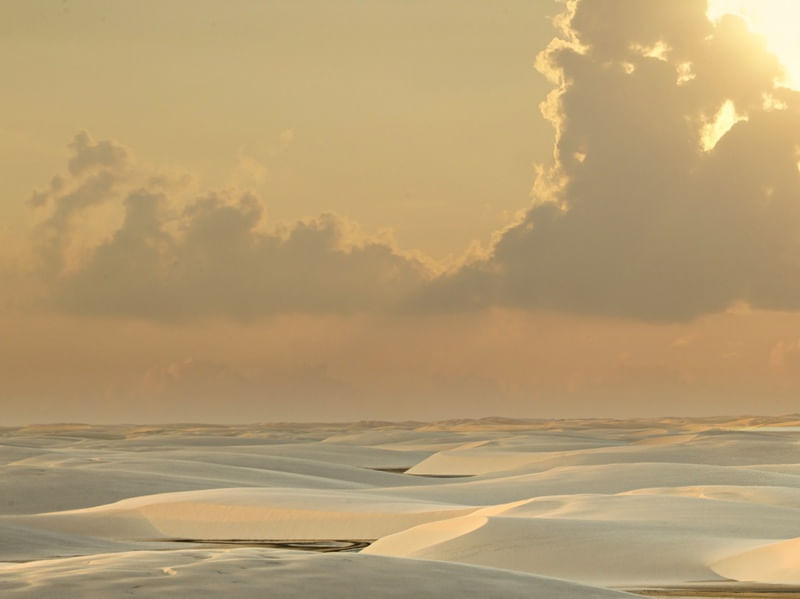 GOLDEN VIEW DUNAS POLIPTICO A