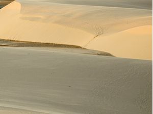 GOLDEN VIEW DUNAS POLIPTICO D