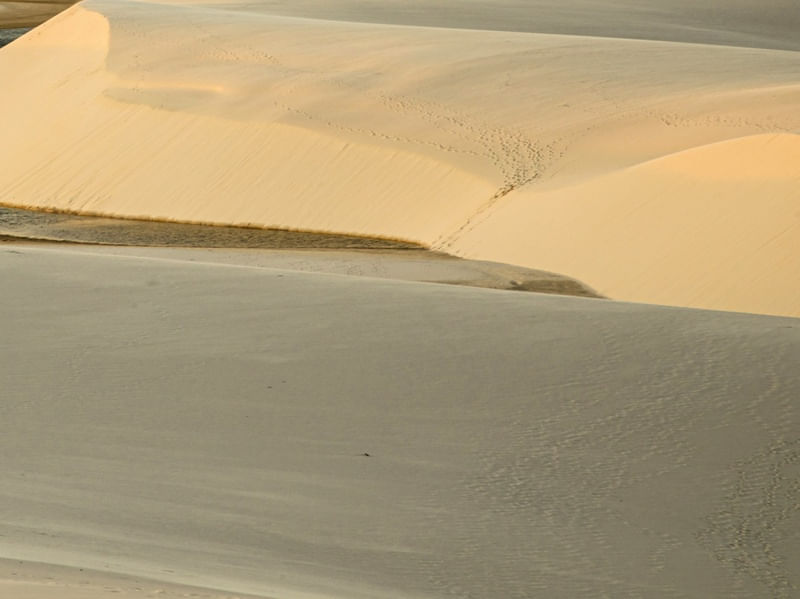 GOLDEN VIEW DUNAS POLIPTICO D